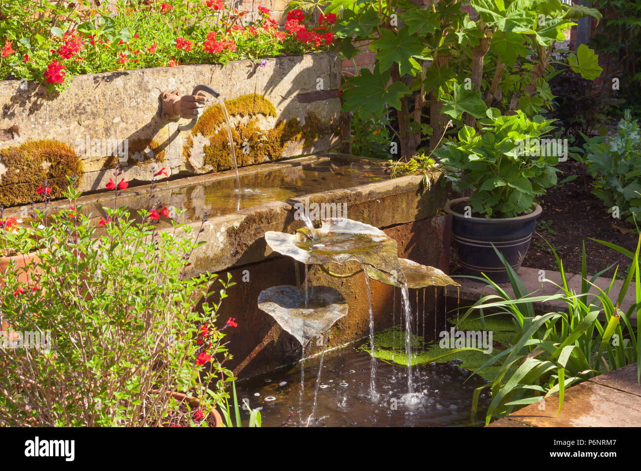 Hall Farm giardino, Harpswell, Lincolnshire, Regno Unito. Estate, Giugno 2018. Foto Stock