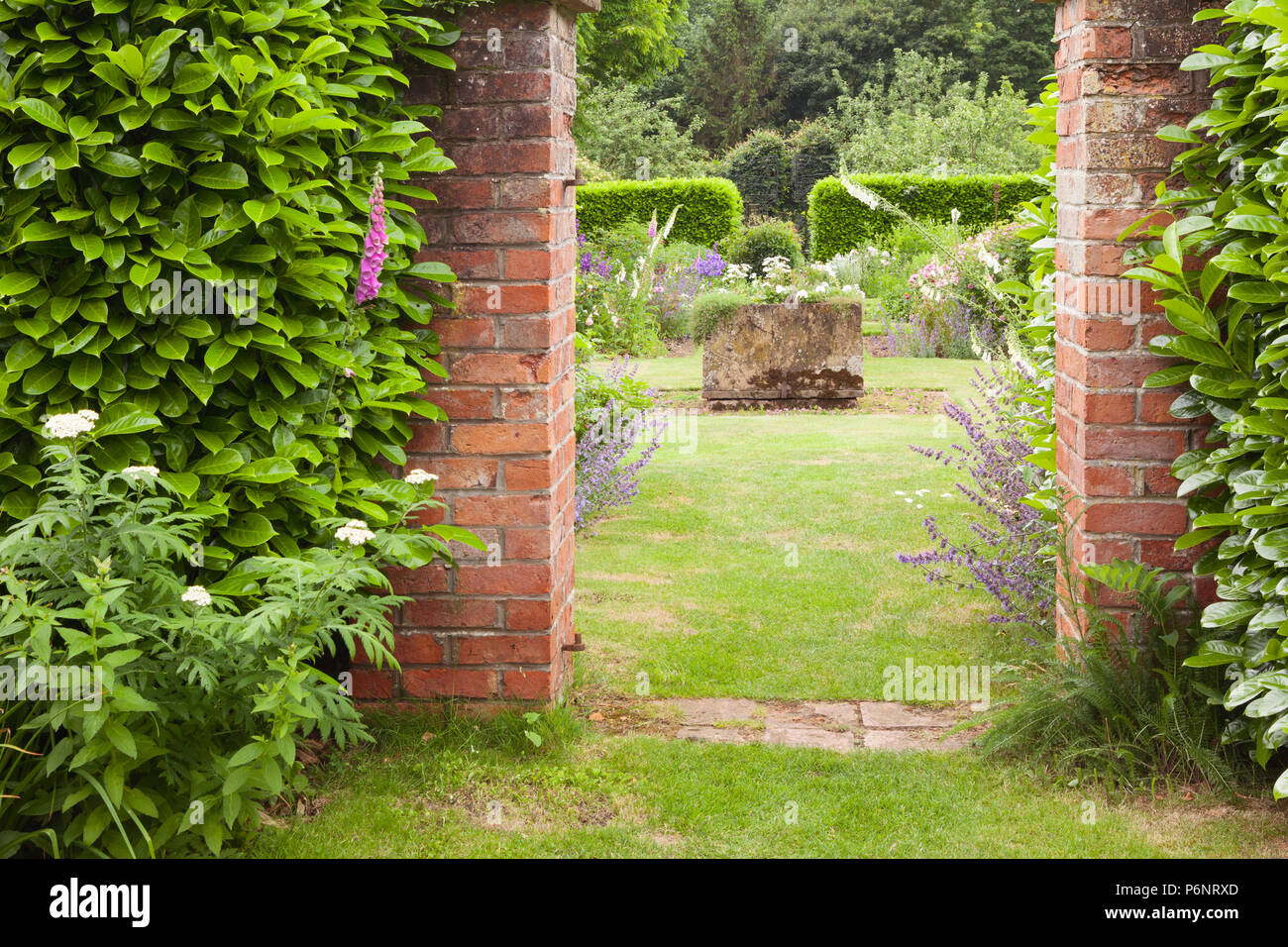 Hall Farm giardino, Harpswell, Lincolnshire, Regno Unito. Estate, Giugno 2018. Foto Stock