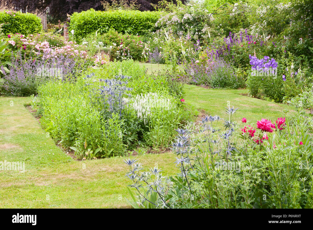 Hall Farm giardino, Harpswell, Lincolnshire, Regno Unito. Estate, Giugno 2018. Foto Stock