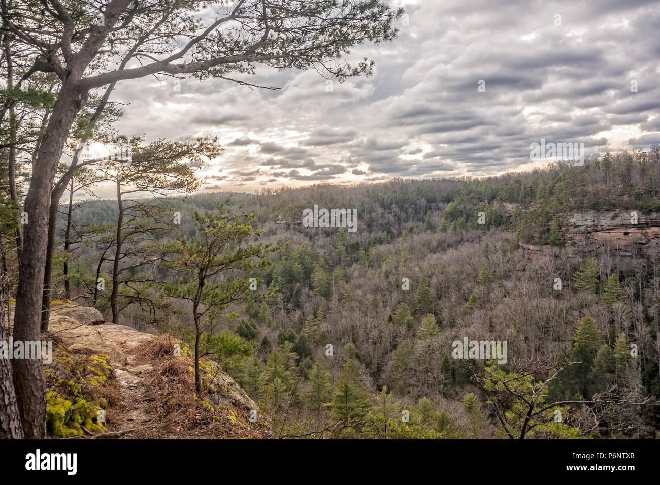 Red River Gorge in Kentucky (USA) Foto Stock