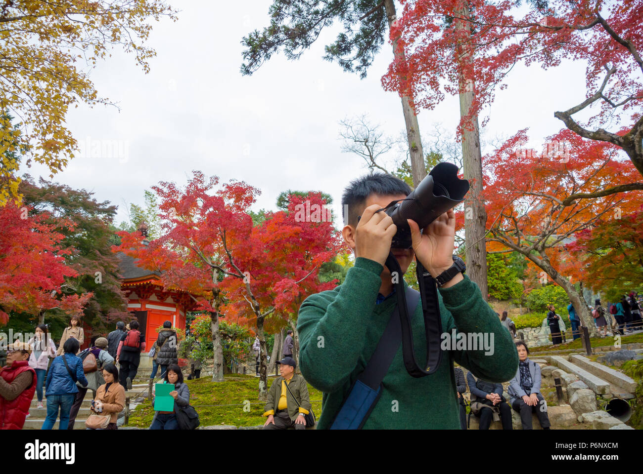 Asian turistica prendendo una foto della Koyo, foglie colorate di alberi di acero al tempio Tofukuji, Kyoto, Giappone Foto Stock