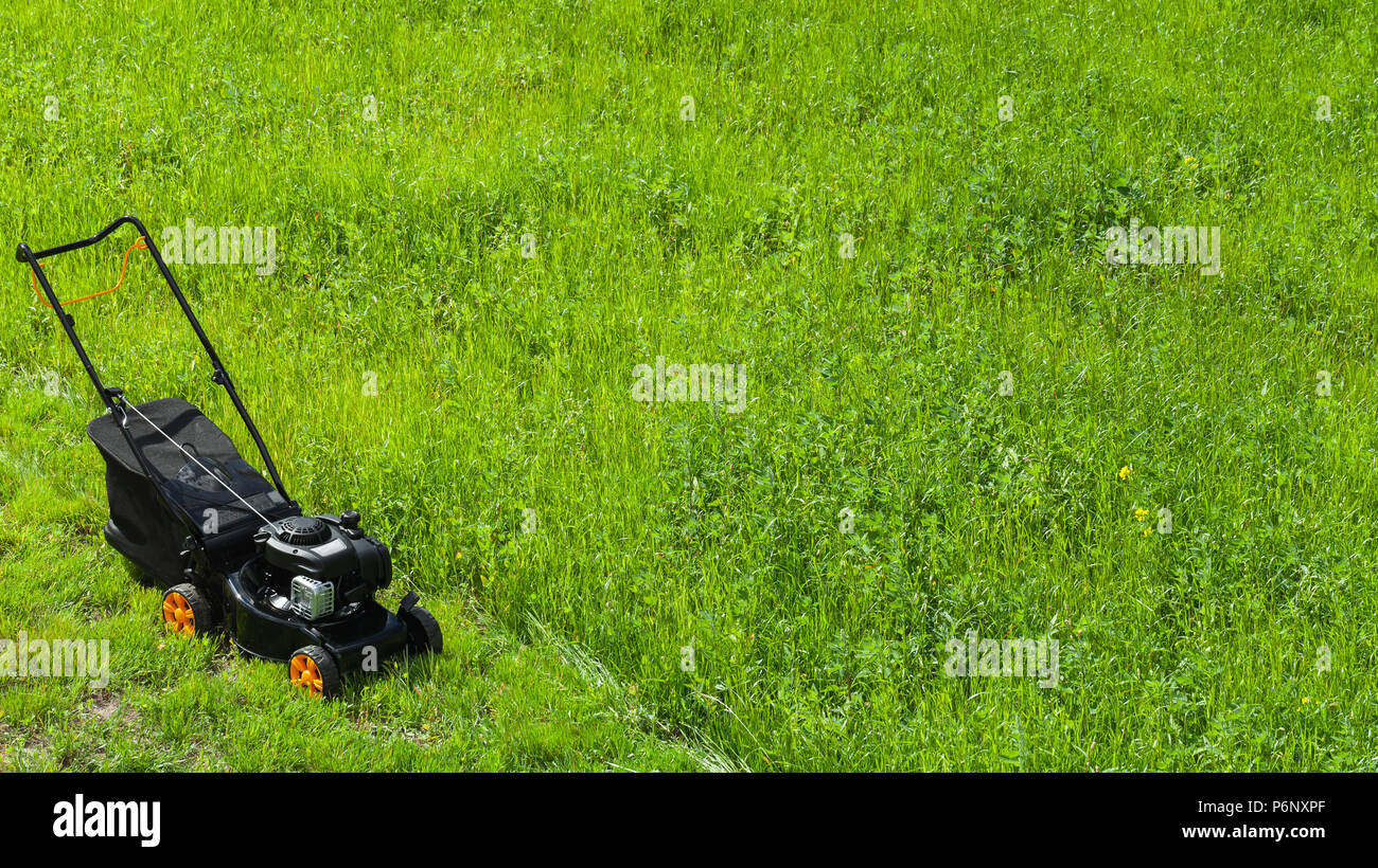 Benzina moderno motorizzato rotante tosaerba da spinta o taglio di erba sorge sul fresco verde prato Foto Stock