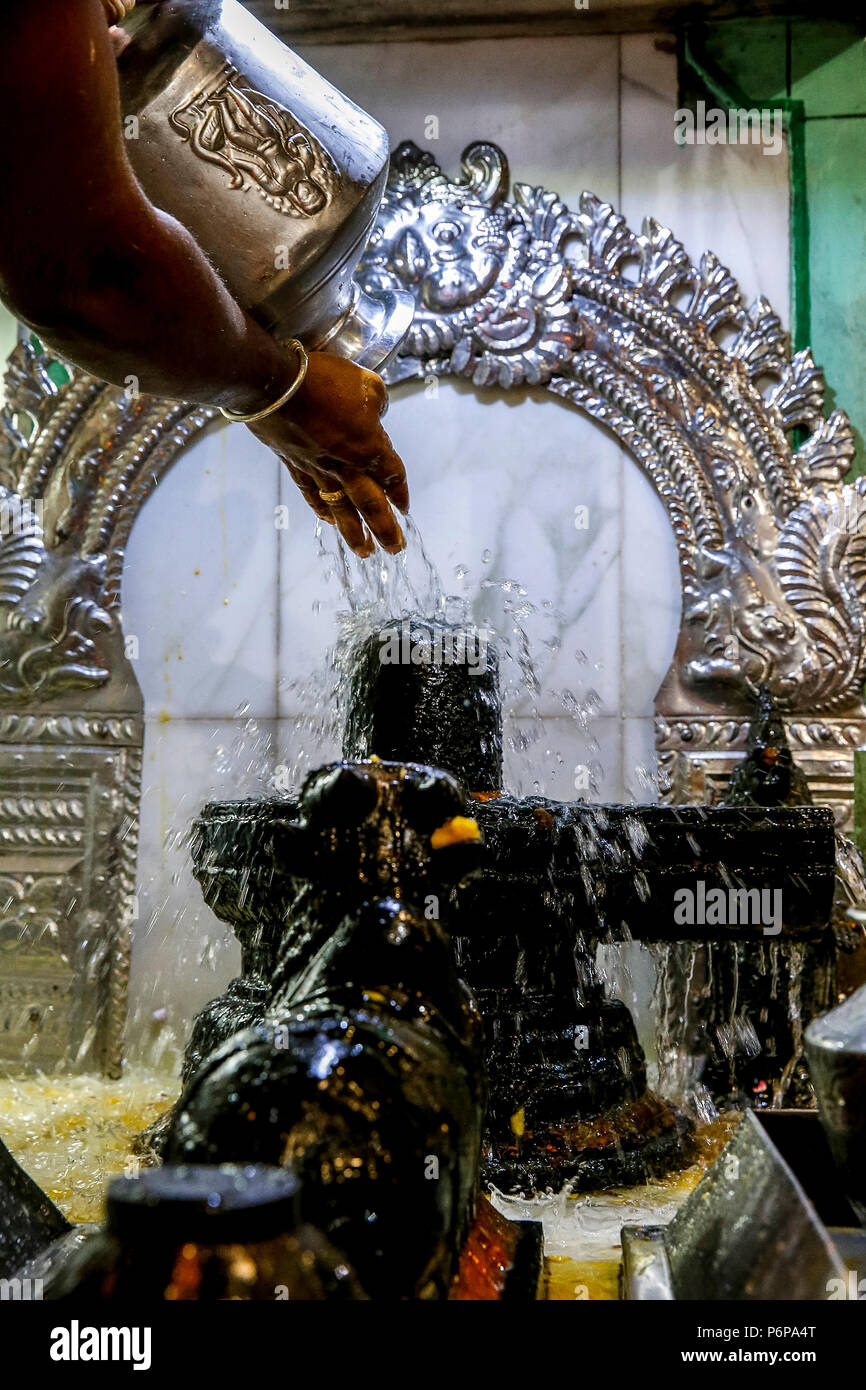 Shivaratri festa al Paris Ganesh Temple, Francia. Foto Stock