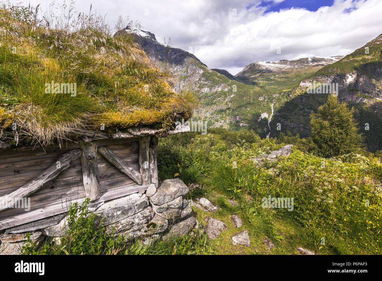 Alp antiche capanne di Homlongsetra, Norvegia, malghe di ex contadini di montagna Foto Stock