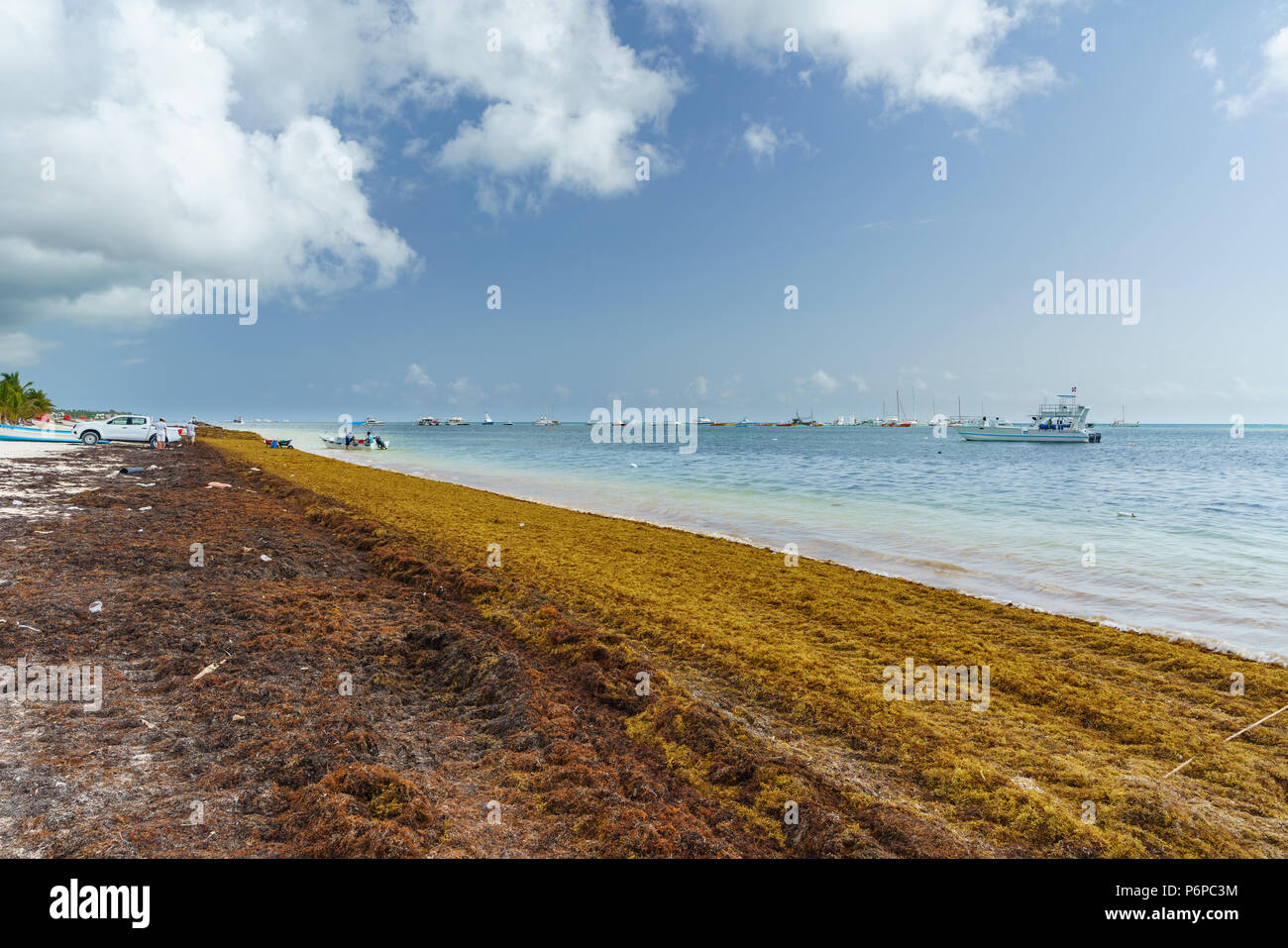 Punta Cana, Repubblica Dominicana - 17 Giugno 2018: sargassum alghe sul beaytiful ocean beach in Bavaro e Punta Cana e il risultato del riscaldamento globale del cambiamento climatico. Foto Stock