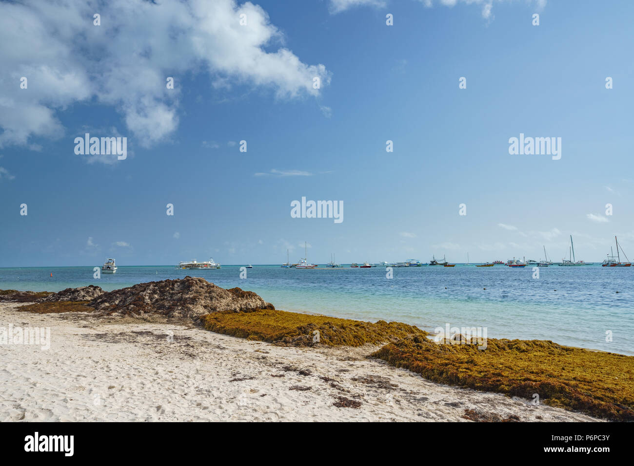 Punta Cana, Repubblica Dominicana - 17 Giugno 2018: sargassum alghe sul beaytiful ocean beach in Bavaro e Punta Cana e il risultato del riscaldamento globale del cambiamento climatico. Foto Stock