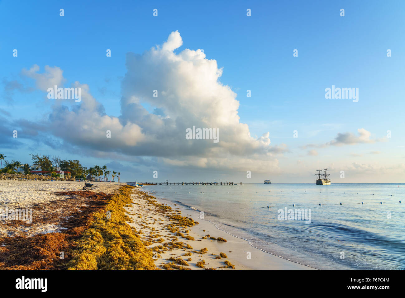Punta Cana, Repubblica Dominicana - 19 Giugno 2018: sargassum alghe sul beaytiful ocean beach in Bavaro e Punta Cana e il risultato del riscaldamento globale del cambiamento climatico. Foto Stock