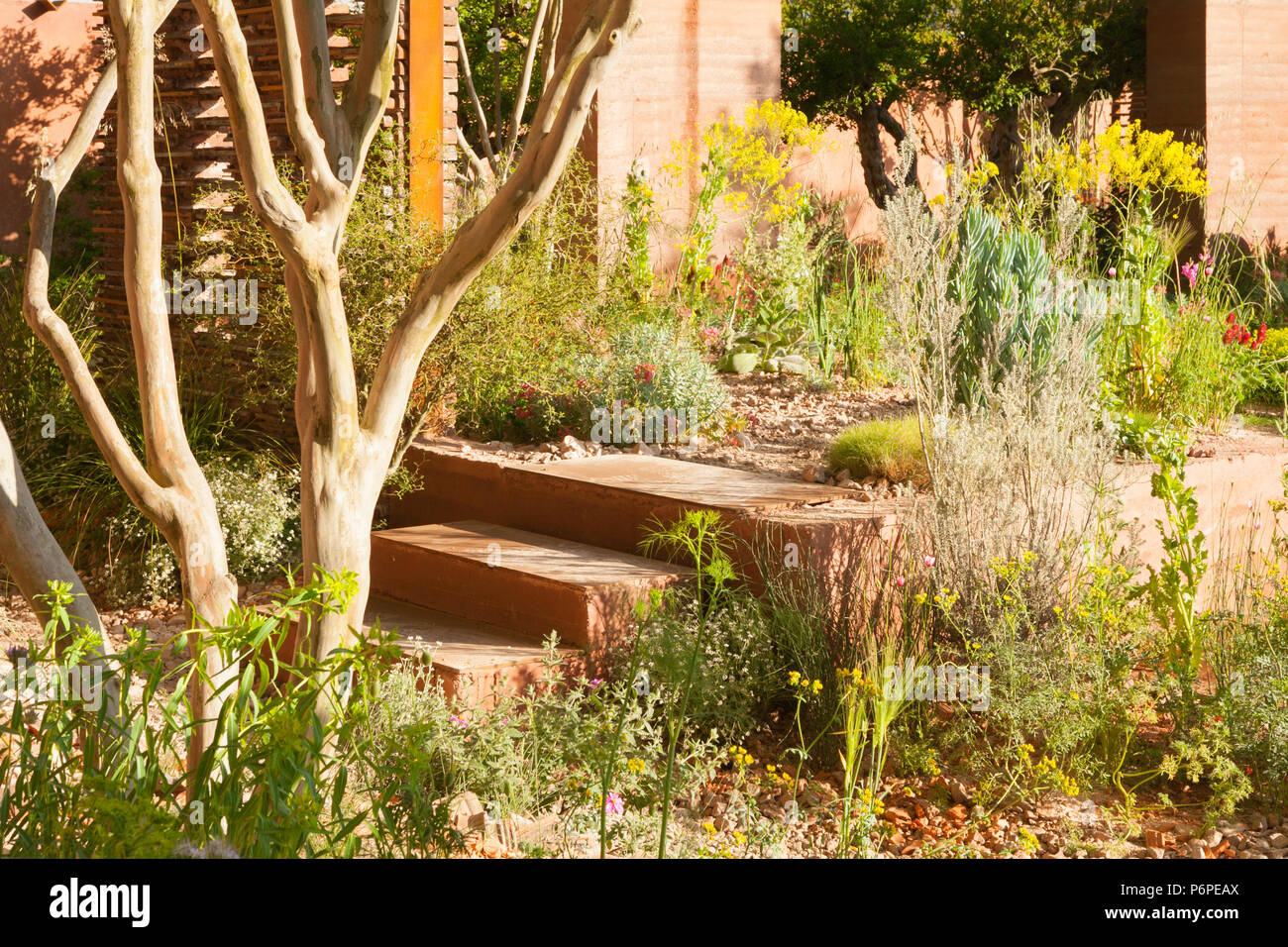M&G mostrano giardino giardino alla RHS Chelsea Flower Show 2018. Progettato da Sarah Prezzo e costruito dal Crocus. Foto Stock