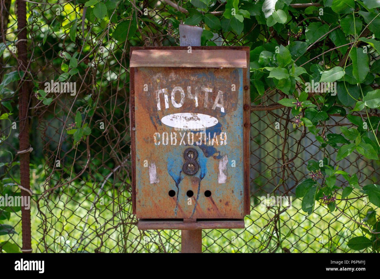 Composizione astratta per i progettisti con il vecchio letter box sulla colonna di ferro vicino al recinto con twiner e fiori Foto Stock