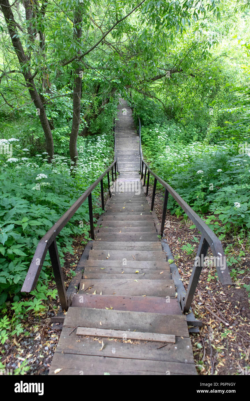 Abstract texture di immagini per i progettisti con asse di legno scale presso il forest hill Foto Stock