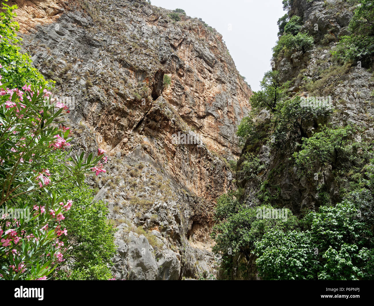 Saklikent Gorge < National Park, Nr Fethiye, Mugla, Turchia. Foto Stock