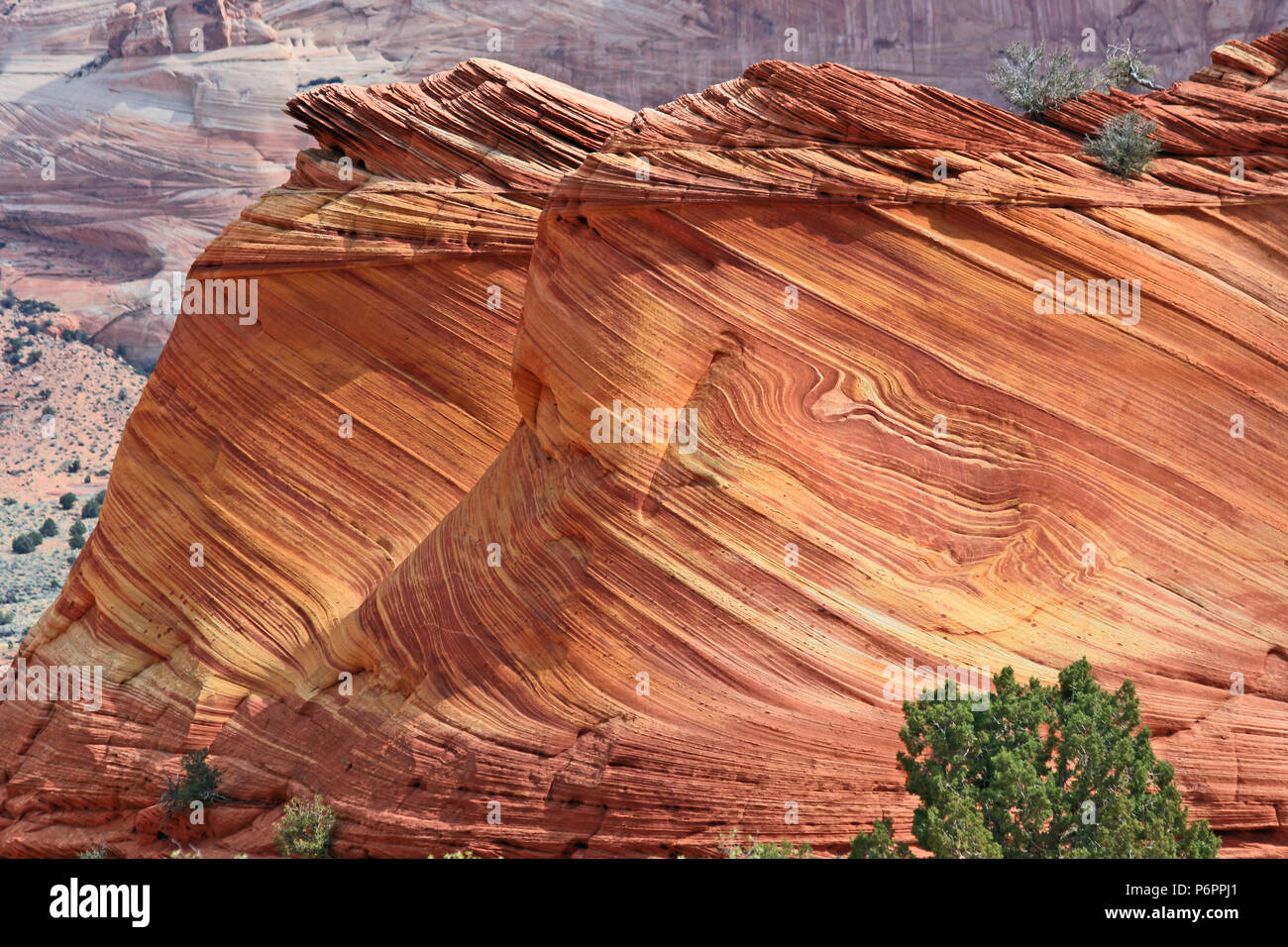 Coyote Butte Nord, Arizona Foto Stock