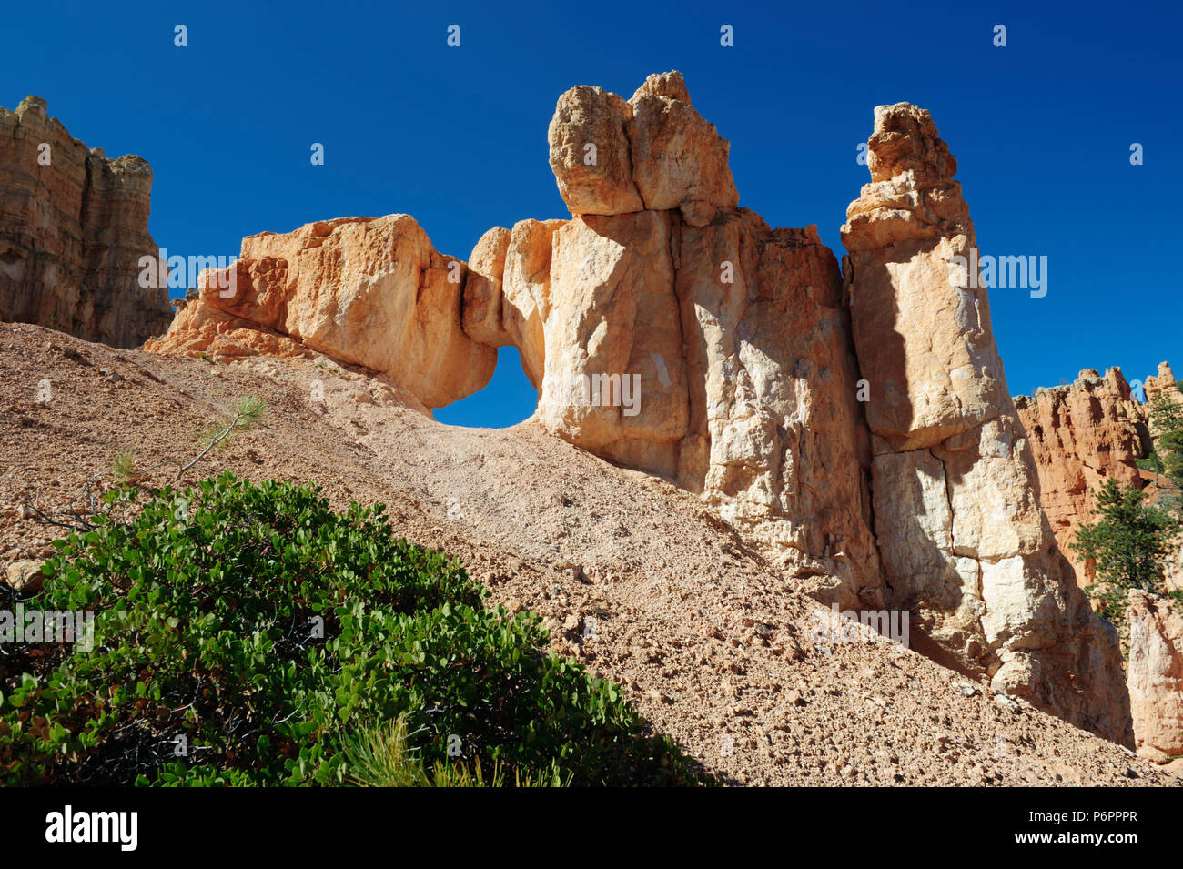 Spettacolare eroso sansdstone formazione accanto all un profondo cielo blu nel Parco Nazionale di Bryce Canyon, Utah, Stati Uniti d'America. Foto Stock