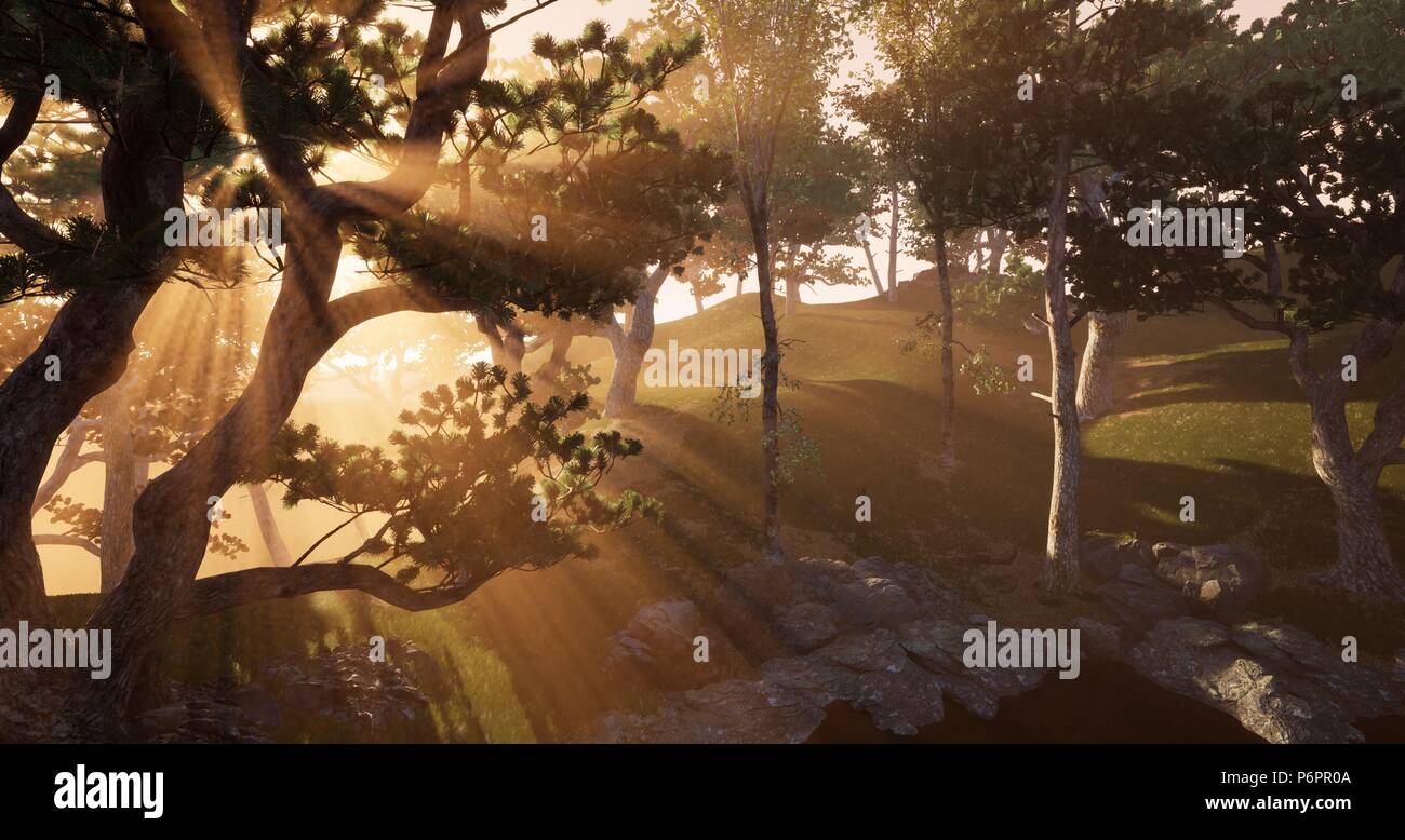 Tramonto al bosco. Raggio di luce quando il tramonto Foto Stock