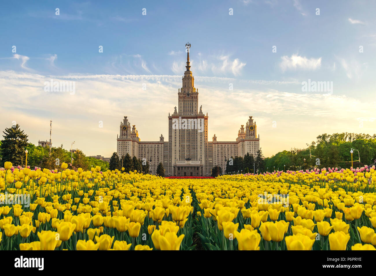 Molla di Mosca tulip fiori dello skyline della città in timelapse Lomonosov Moscow State University, Mosca, Russia Foto Stock