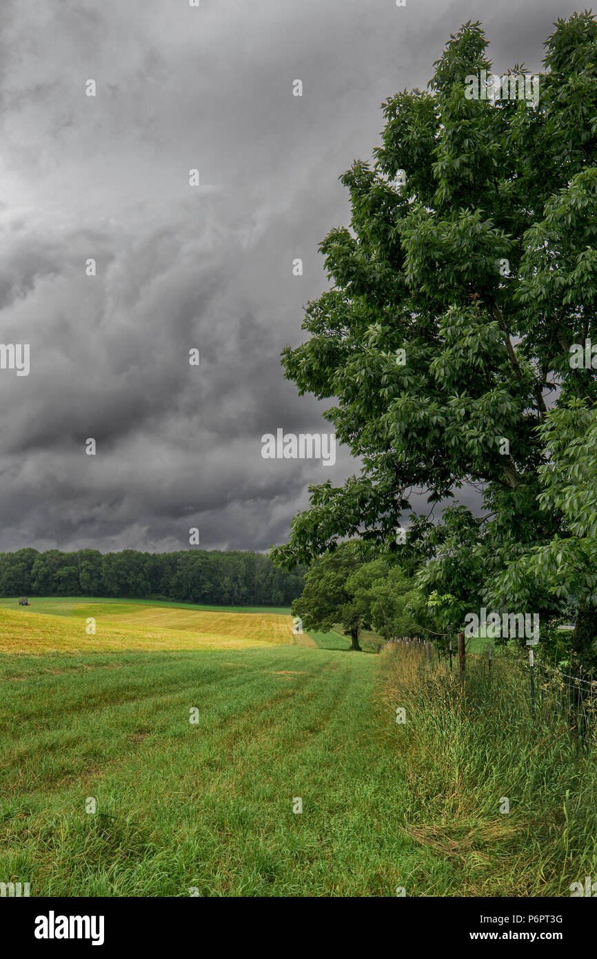 Pioggia nuvole all'orizzonte su pascolo di fattoria Foto Stock