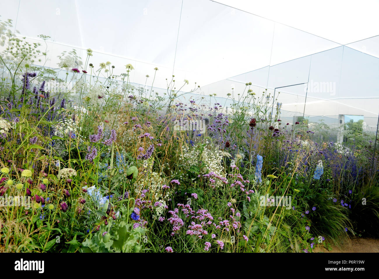 Londra, Regno Unito. Il 2 luglio 2018. Apeiron: Dibond Giardino (disegnato da Alex Rainford-Roberts) una delle più belle ed eleganti giardini mostra sul display a 2018 RHS Hampton Court Flower Show che si è aperto oggi a motivi di Hampton Court Palace, London, Regno Unito - 02 luglio 2018. Credito: Michael Preston/Alamy Live News Credito: Michael Preston/Alamy Live News Foto Stock