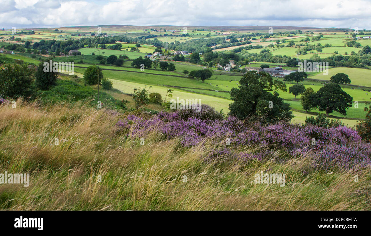Vista da Baildon Moor nello Yorkshire, Inghilterra. Rombalds Moor può essere visto in lontananza. Foto Stock