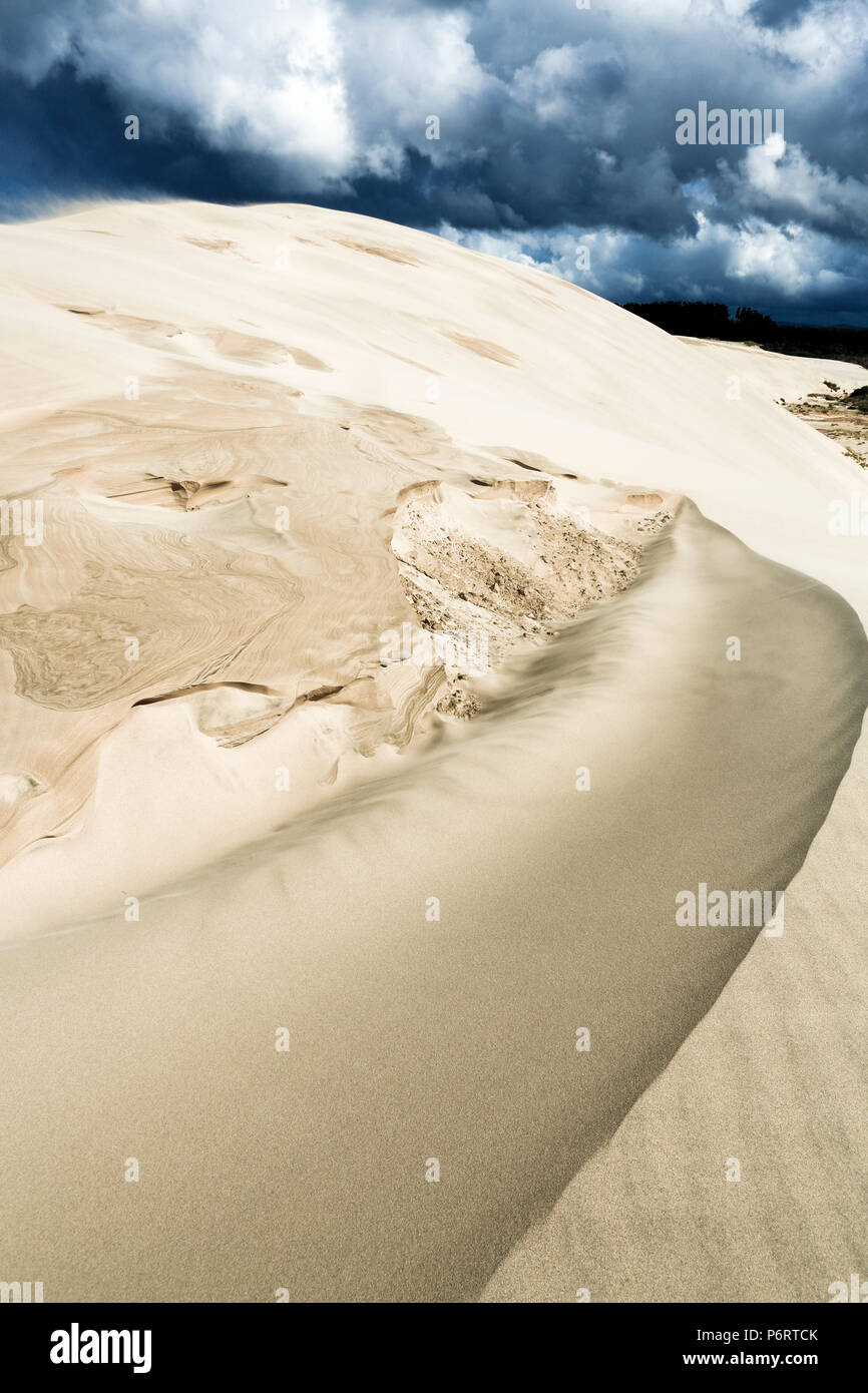Te Paki gigantesche dune di sabbia, Cape Rienga, Nuova Zelanda Foto Stock
