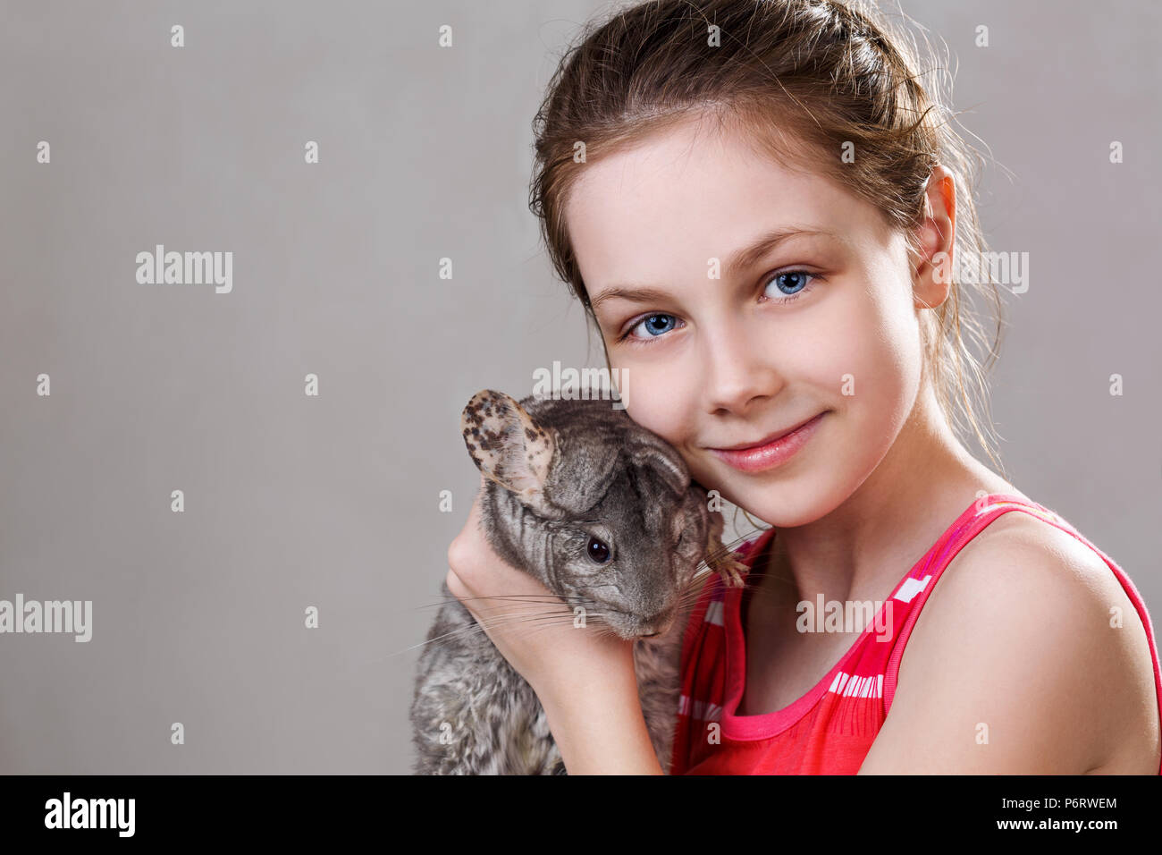 Carino sorridente bambina detiene funny grigio chinchilla. Foto Stock