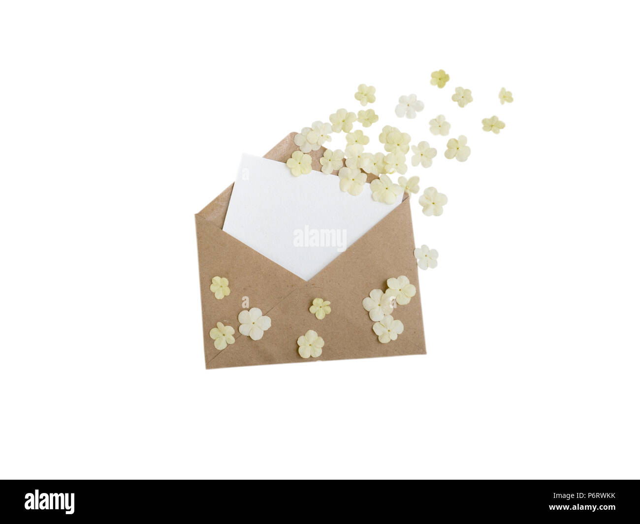 Carta marrone busta con il messaggio di saluto della scheda in bianco e bianco fiori volanti isolati su bianco Foto Stock