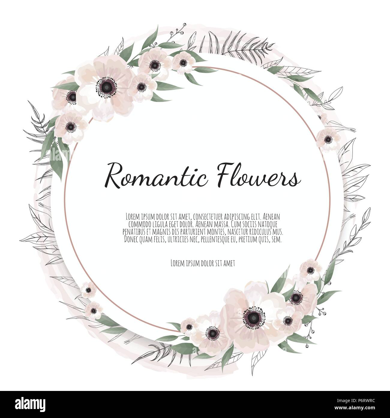 Vettore cornice floreale. Saluto, cartolina matrimonio modello di invito. Elegante cornice con rose e anemone Illustrazione Vettoriale