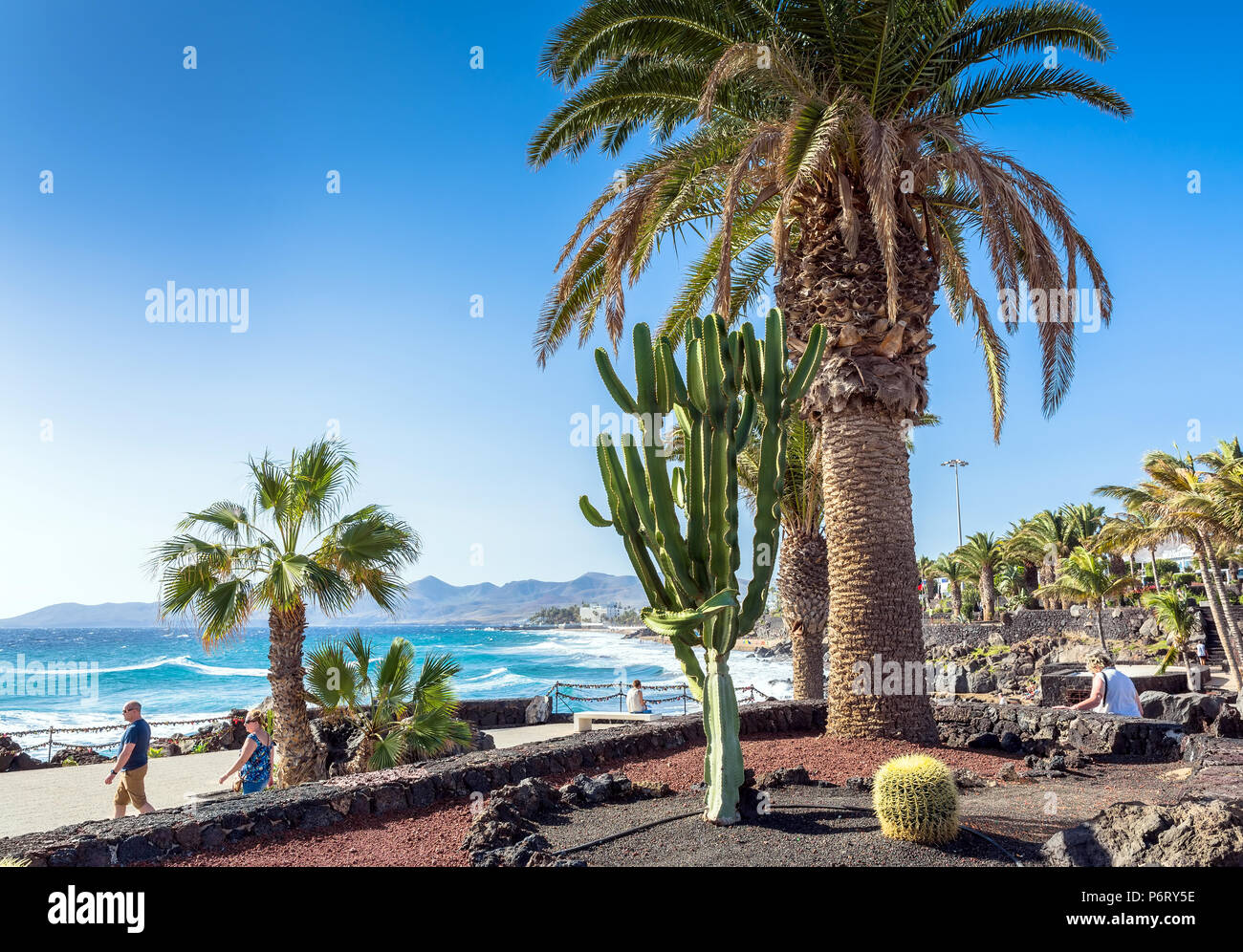 Puerto del Carmen, Spagna - 29 dicembre 2016: visualizzazione giorno del lungomare con palme e la fascia costiera a Puerto del Carmen in Spagna. Puerto del Carmen è l'ami Foto Stock