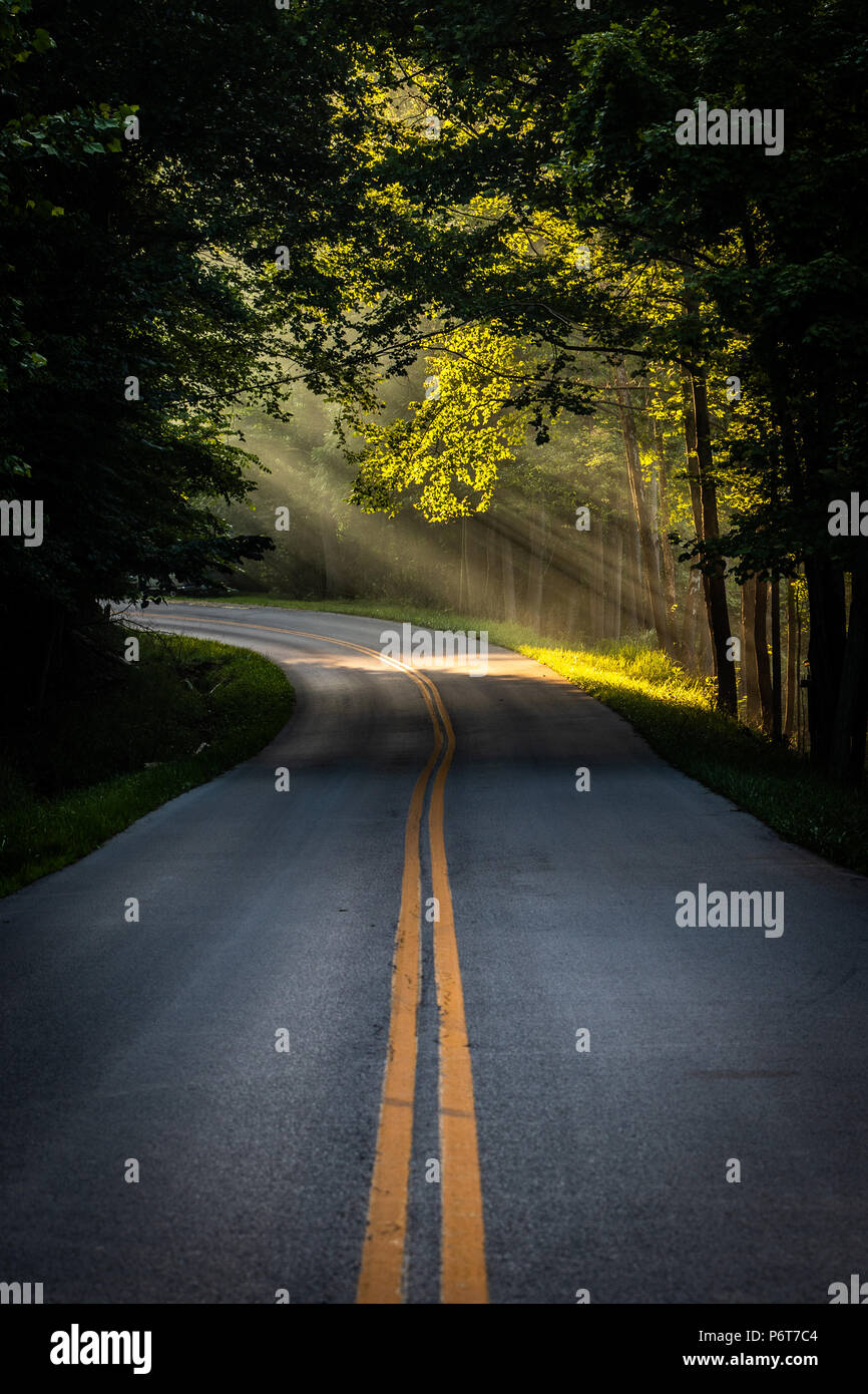 I Suns di prima mattina risplendere raggi sulla curva di una strada asfaltata. Foto Stock