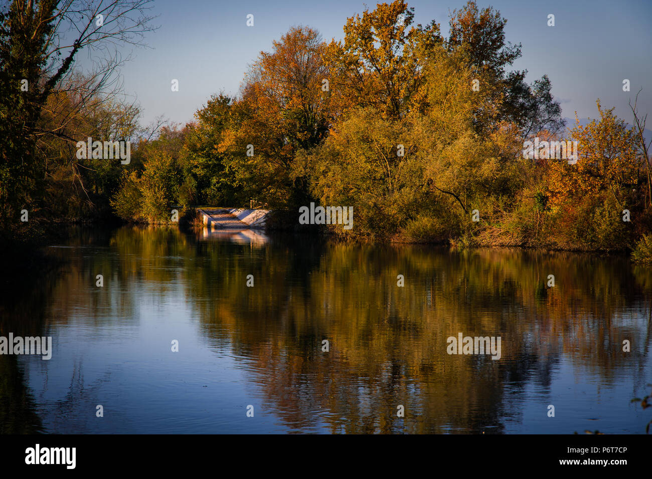 Alberi riflessioni sul fiume Sile a Casale sul Sile (Veneto, Italia settentrionale) Foto Stock