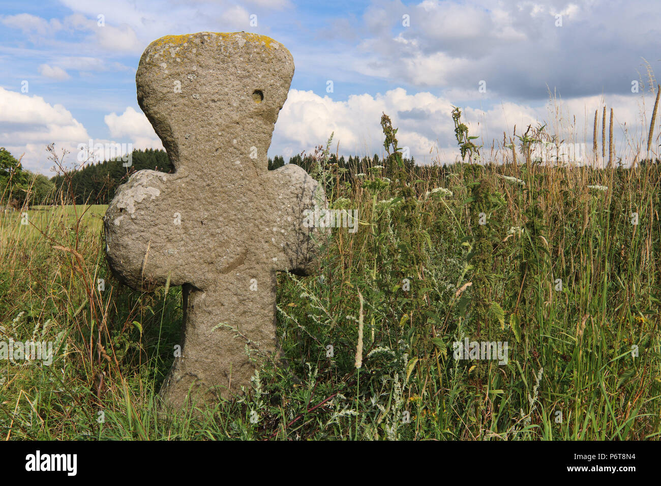 Croce di conciliazione - Croce di pietra costruita sul luogo dove divenne un crimine capitale o disastro, Ovesne Kladruby, Repubblica Ceca Foto Stock