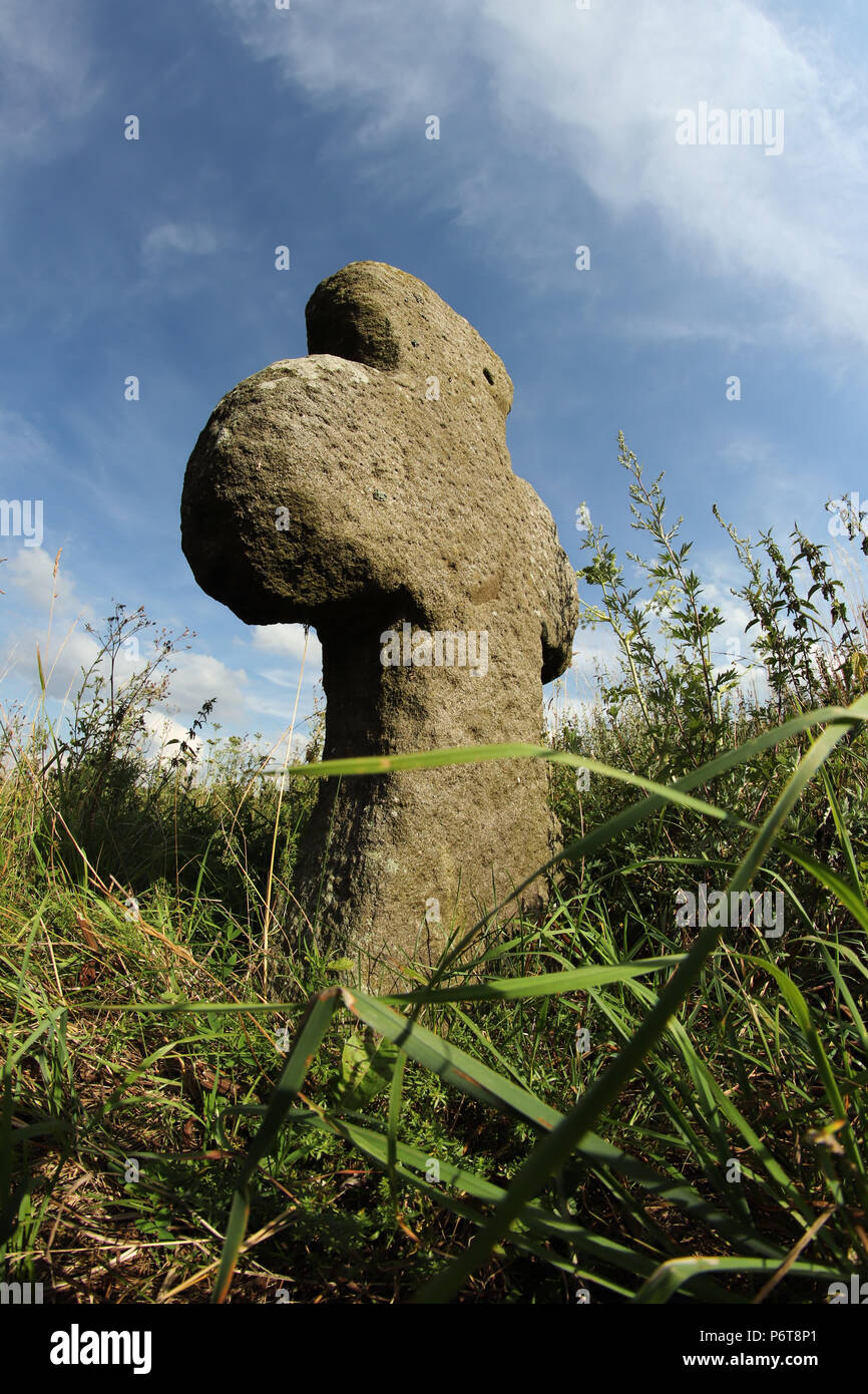 Croce di conciliazione - Croce di pietra costruita sul luogo dove divenne un crimine capitale o disastro, Ovesne Kladruby, Repubblica Ceca Foto Stock