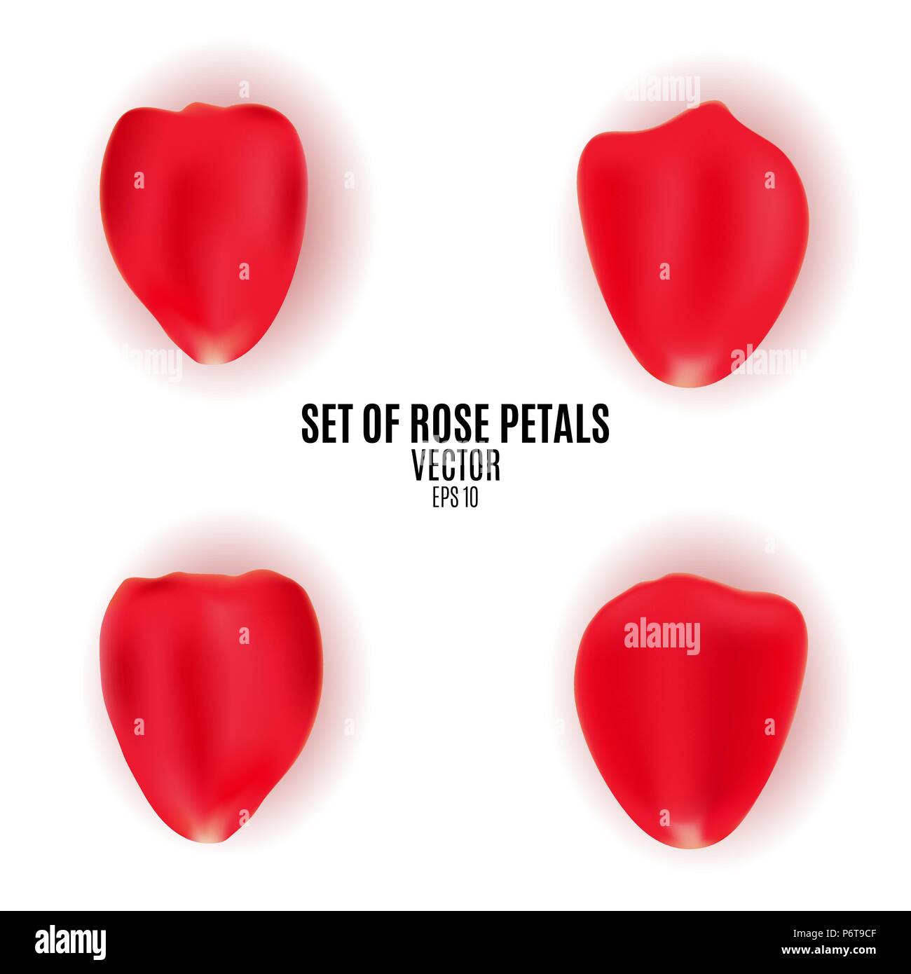 Set di petali di una rosa rossa. Oggetti greco per un romantico progetto. Nozze, il giorno di San Valentino, Marzo 8. Petali di rosa isolato su sfondo bianco. Vettore Illustrazione Vettoriale
