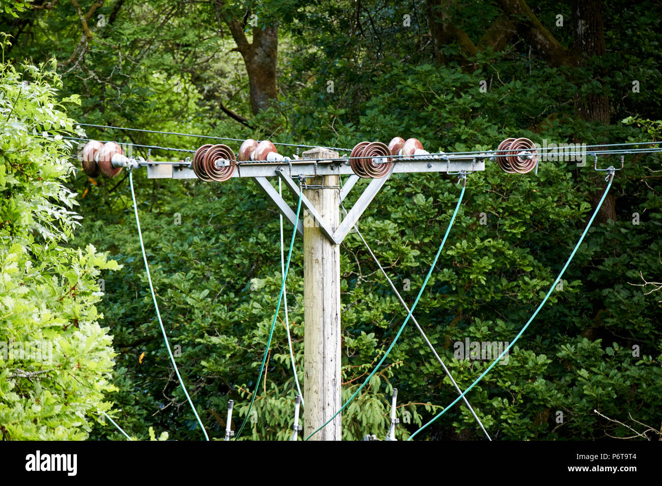 Disco in ceramica Isolatori e i cavi nella parte superiore di una potenza elettrica pole linee che corrono attraverso la radura England Regno Unito Foto Stock