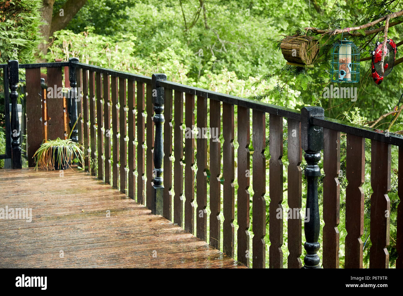 Wet empty decking area sotto la pioggia nel bosco Lake District Inghilterra Regno Unito Foto Stock