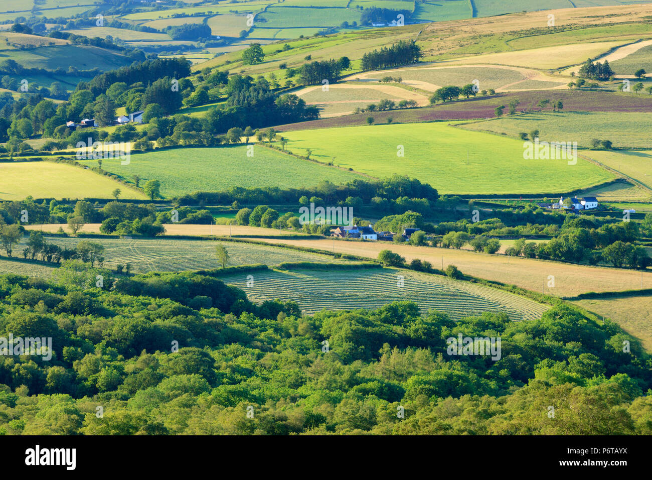 Fforest Fach Cwm Treweryn Parco Nazionale di Brecon Beacons Sennybridge Powys Galles Foto Stock