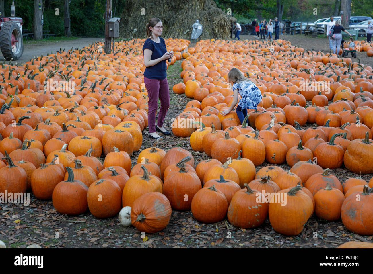 Rochester, New York: Madre e figlia scegliere una zucca al potere di mercato di fattoria. Foto Stock