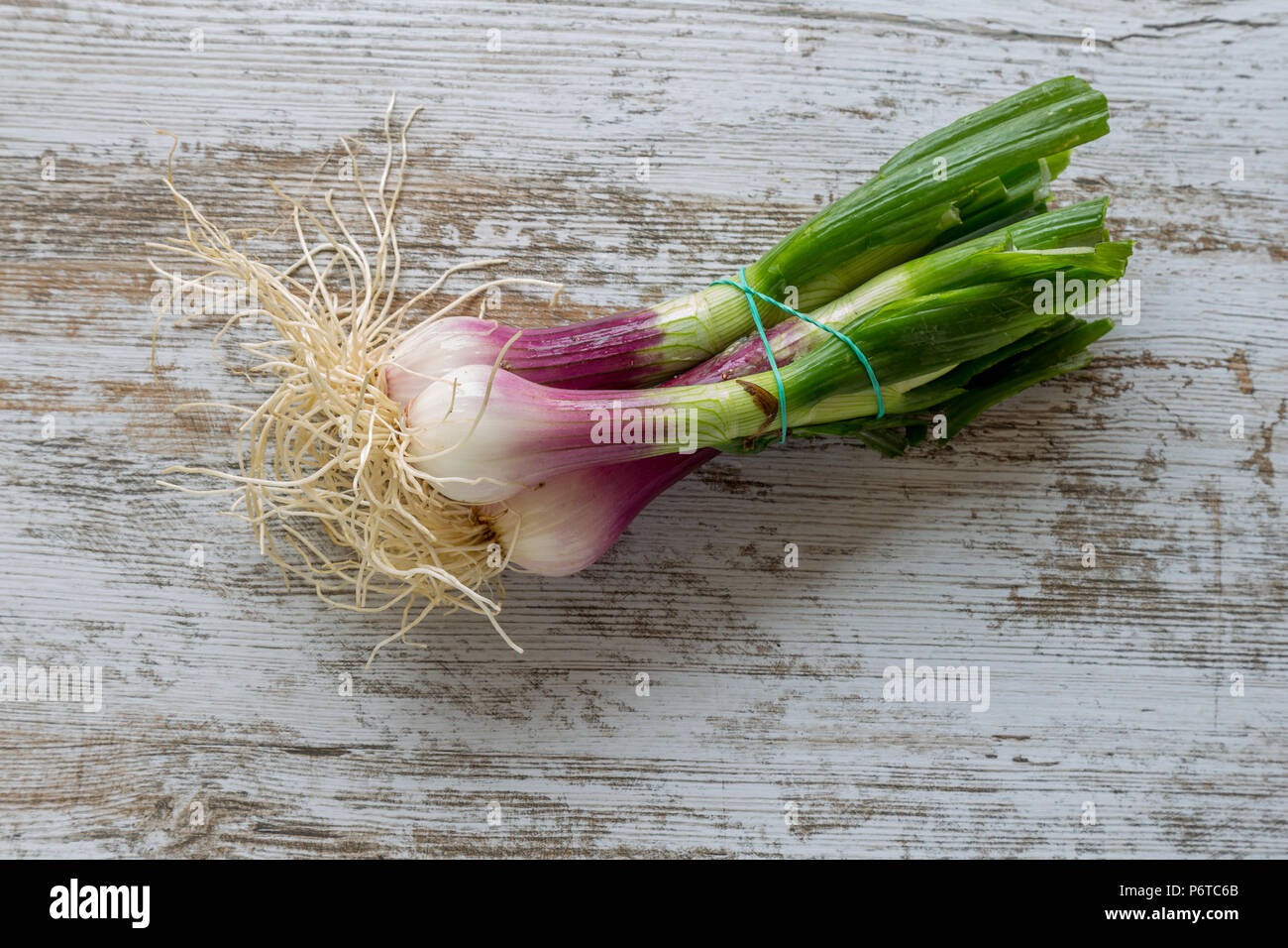 Giovani cipolla su una vecchia tavola dei colori Foto Stock