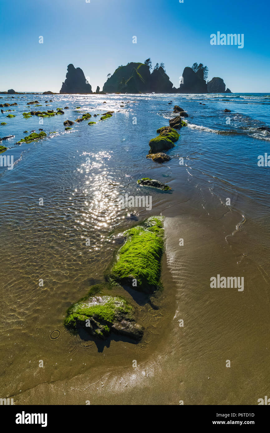 Sabbia bagnata e rocce su Shi Shi Beach dopo un'onda placata, lungo l'Oceano Pacifico nel Parco Nazionale di Olympic, nello Stato di Washington, USA Foto Stock