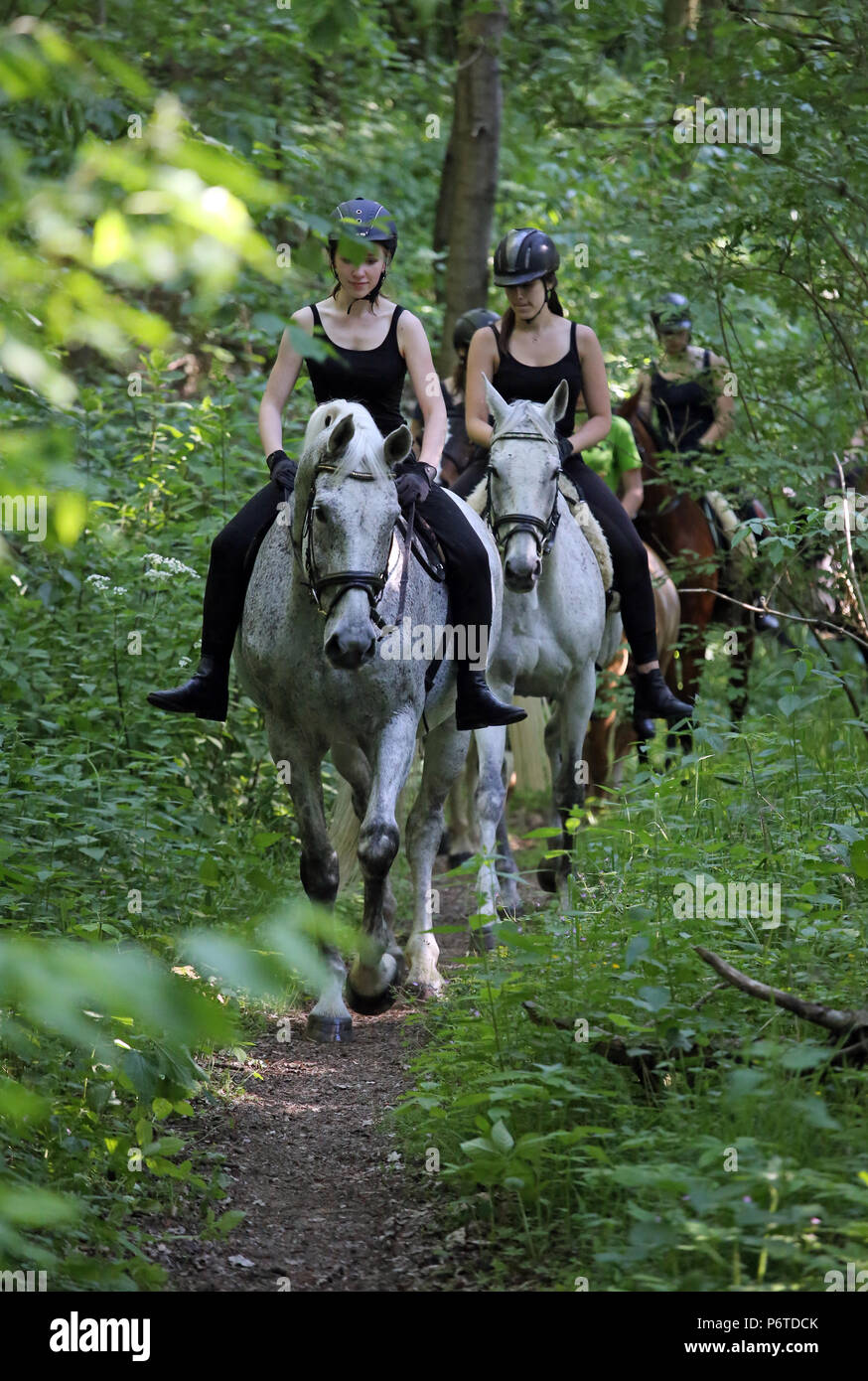Oberoderwitz, giovani ragazze corsa attraverso la foresta Foto Stock