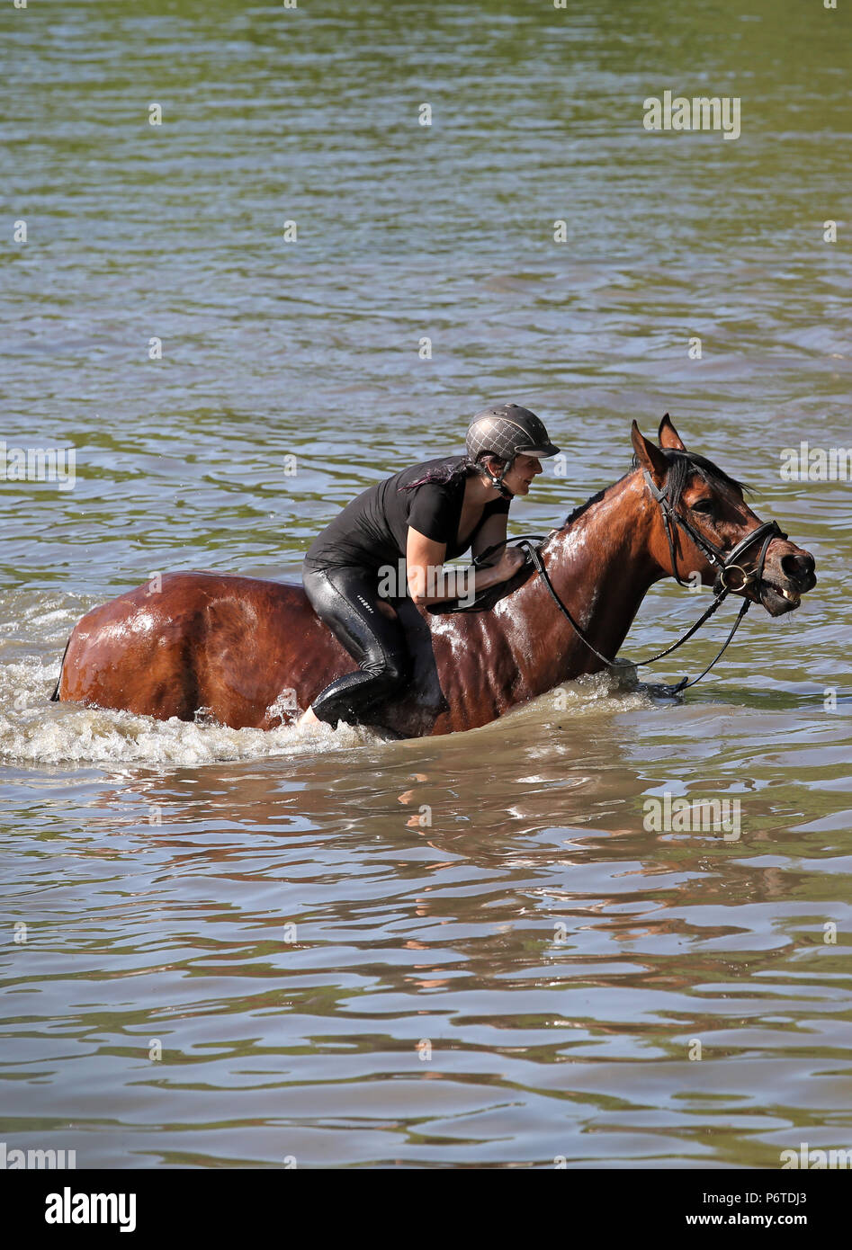 Oberoderwitz, donna cavalca il suo cavallo attraverso un lago Foto Stock