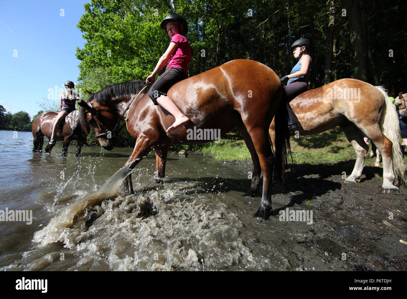Oberoderwitz, ragazze bagnarsi con i loro cavalli in un lago Foto Stock