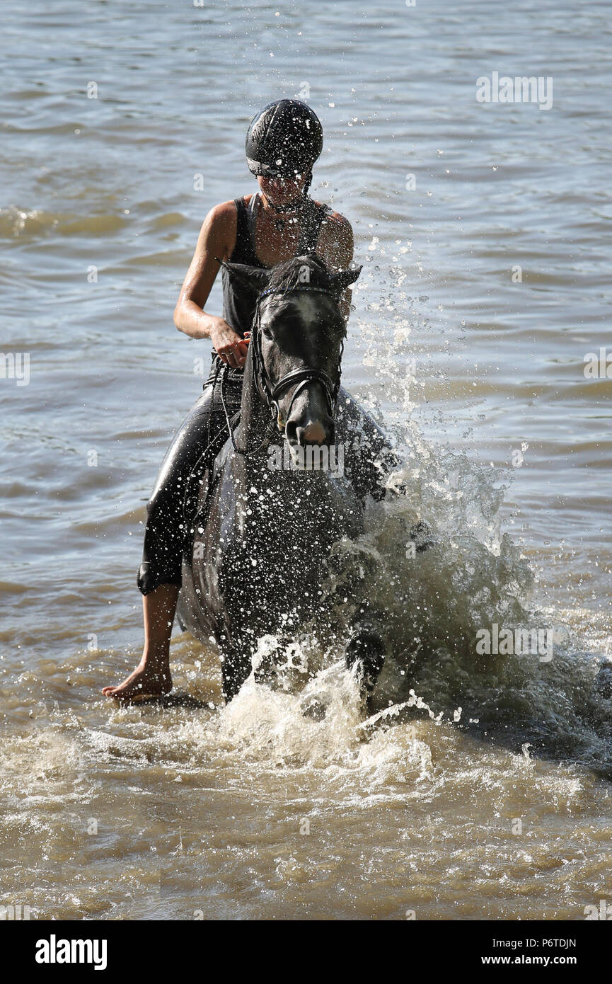 Oberoderwitz, Maedchen cavalca il suo cavallo attraverso un lago Foto Stock
