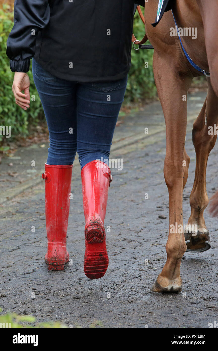 Amburgo, cavallo di gambe e gambe umane in stivali di gomma Foto Stock