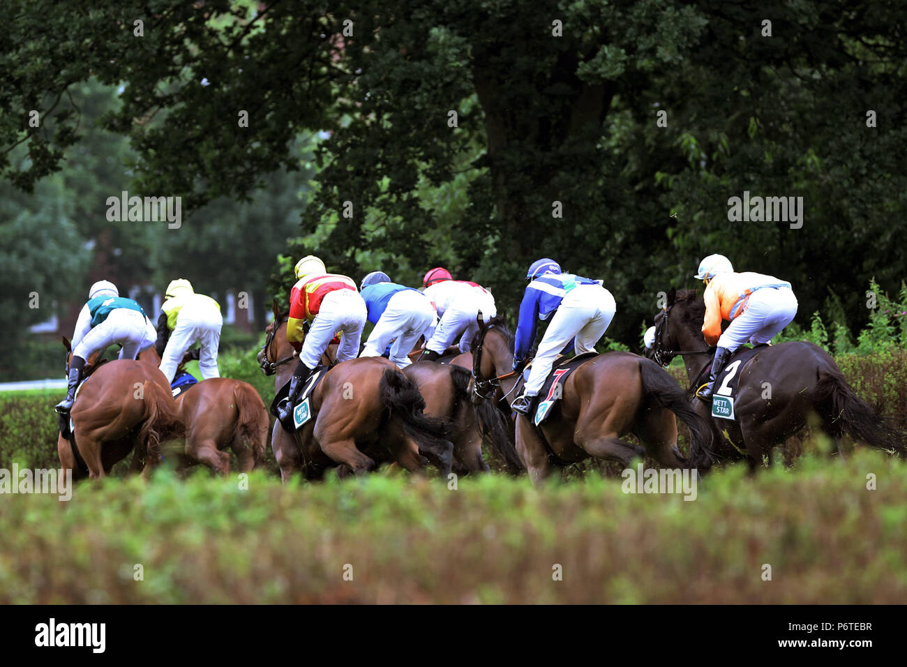 Amburgo, cavalli e fantini in gara nella schiena diritta Foto Stock