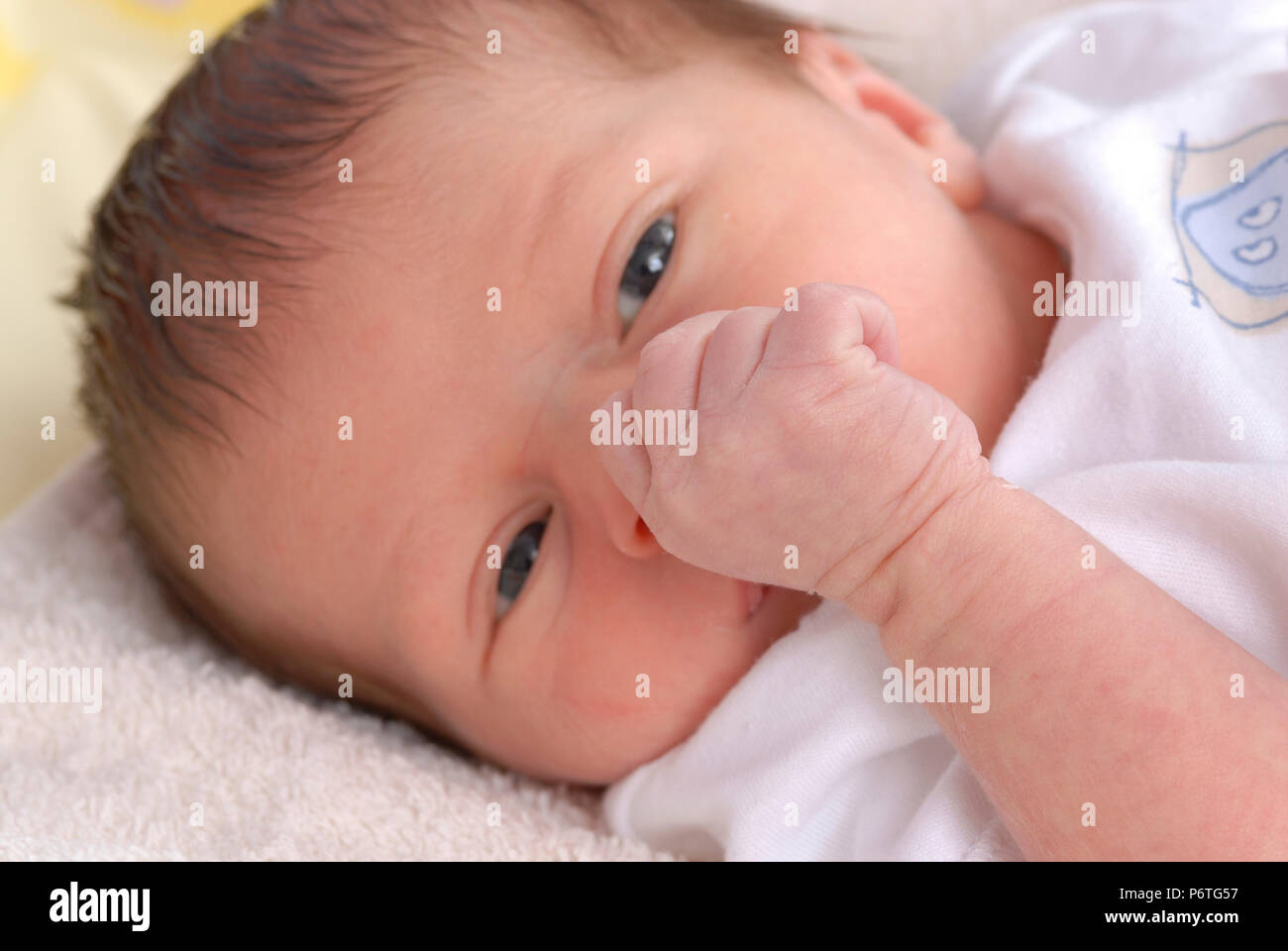 Close up ritratto del neonato Foto Stock