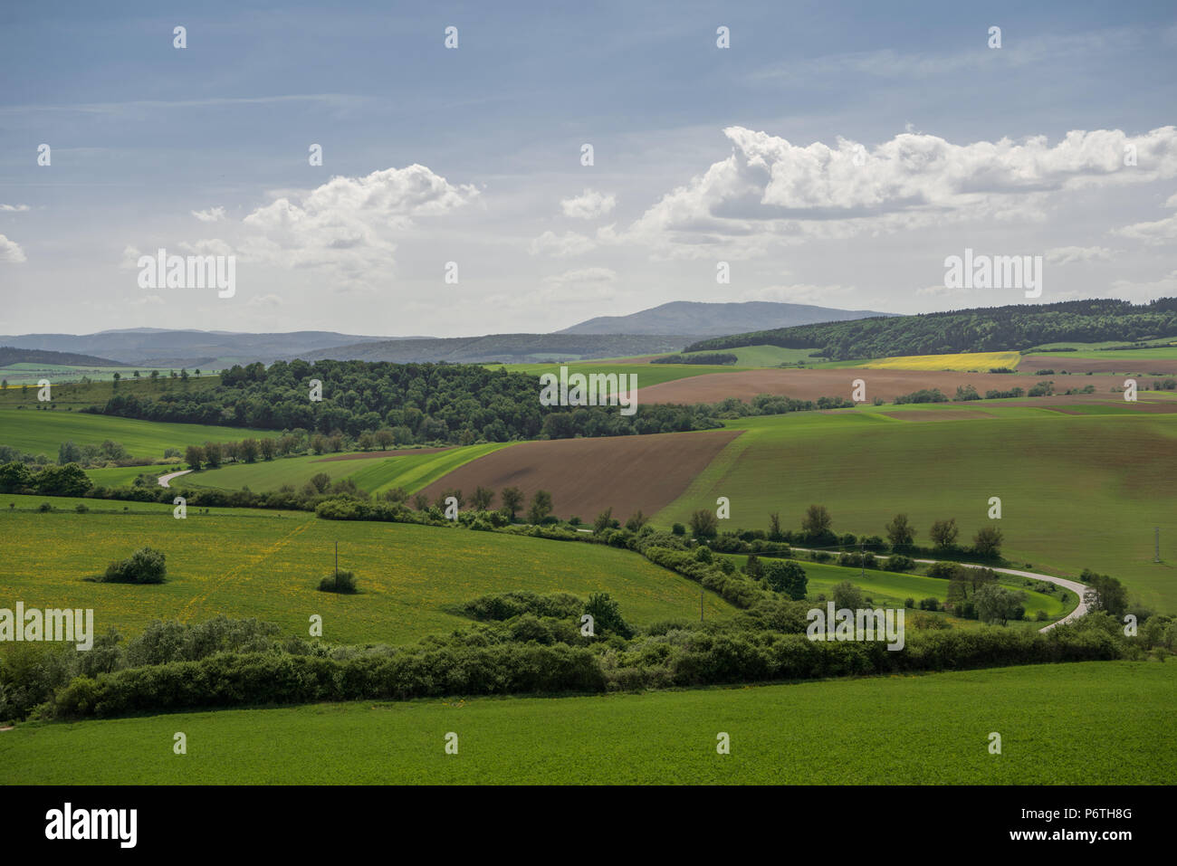 Vista sul terreno coltivato dal castello di Saris Foto Stock