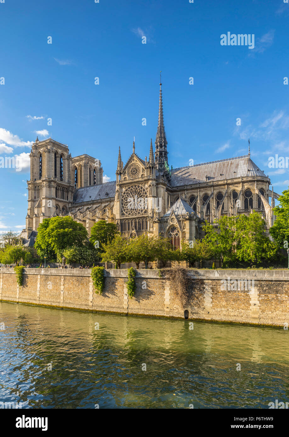 La cattedrale di Notre Dame, Paris, Francia Foto Stock
