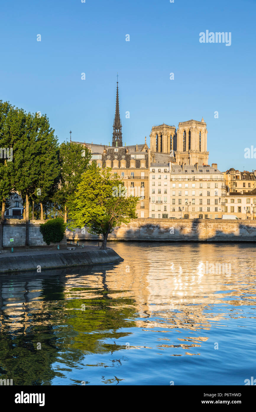La cattedrale di Notre Dame e l'Ile de la Cite, Parigi, Francia Foto Stock