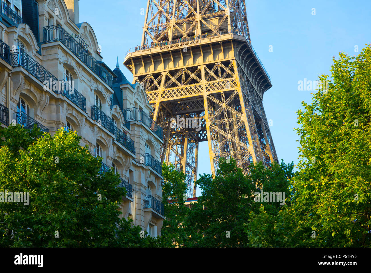Torre Eiffel Parigi Francia Immagini e Fotos Stock - Alamy