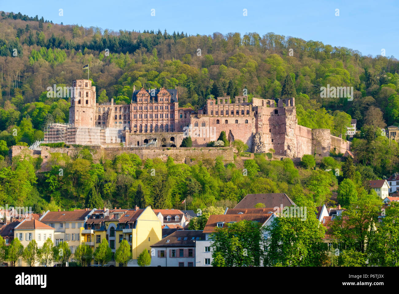 Germania, Baden-WÃ¼rttemberg, Heidelberg. Schloss Heidelberg Castle sul fiume Neckar. Foto Stock